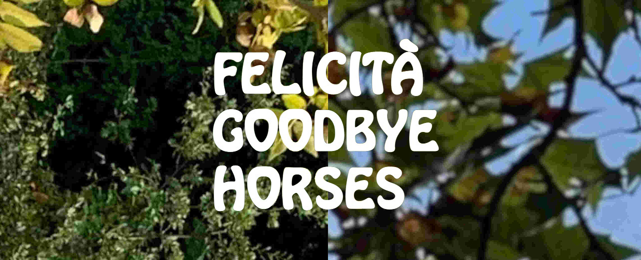 Felicità Goodbye Horses