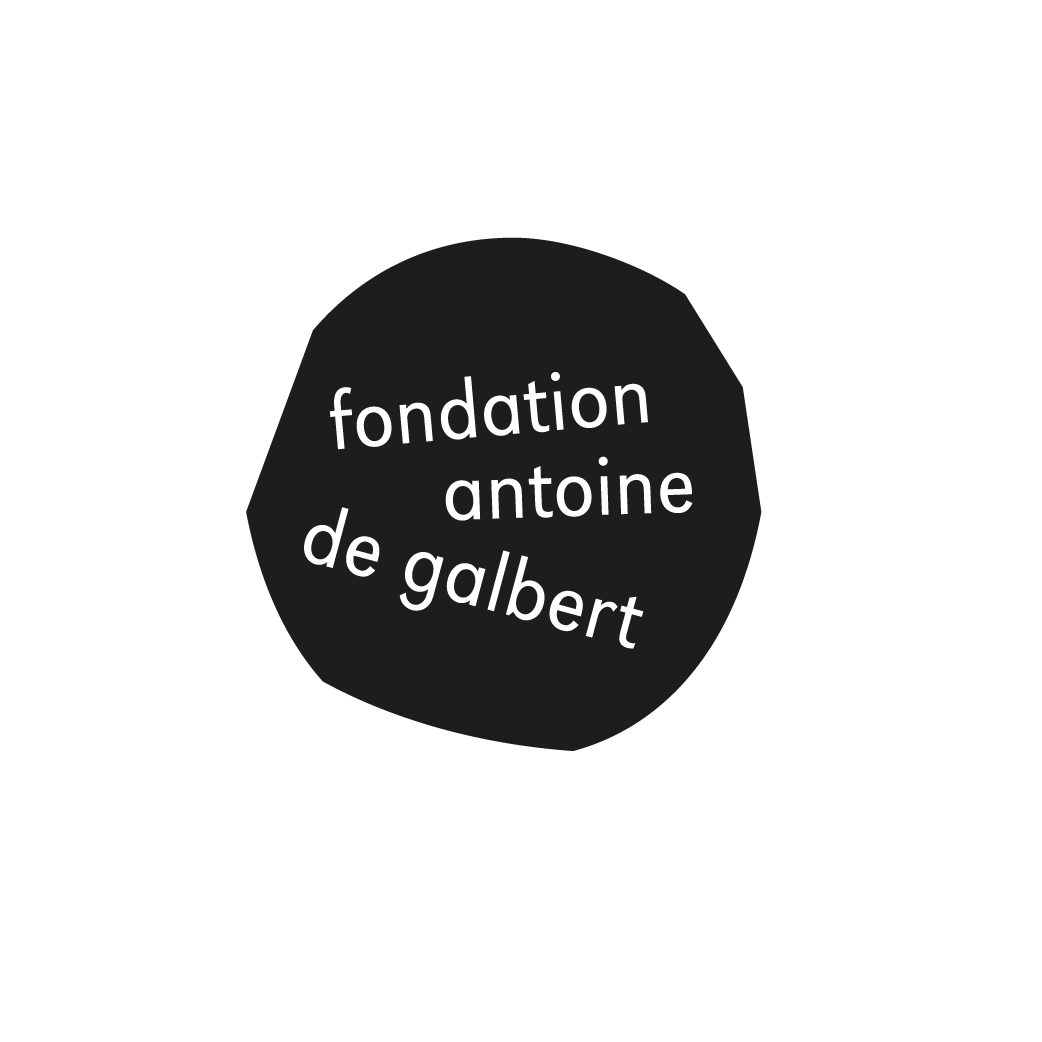 Fondation Antoine de Galbert